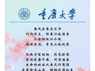 给兄弟的新年祝福