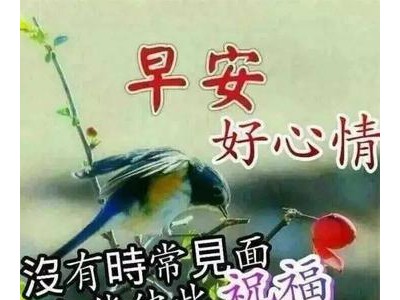 早上好问候祝福语