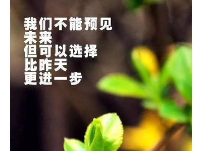 女人心态阳光的句子 一朵花