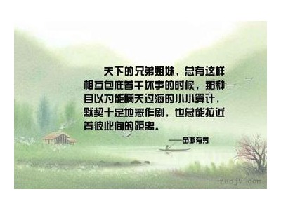 表达兄弟情的短句