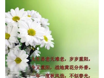 重阳节发朋友圈的精美句子