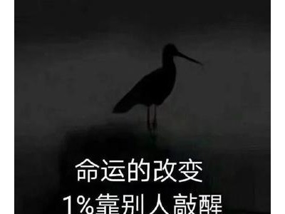 2021年最精辟最火的句子