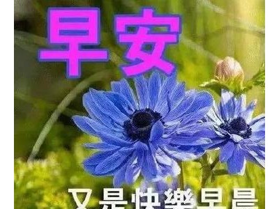 适合祝福的句子发朋友圈