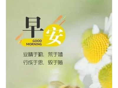 早安问候心语简单一句话