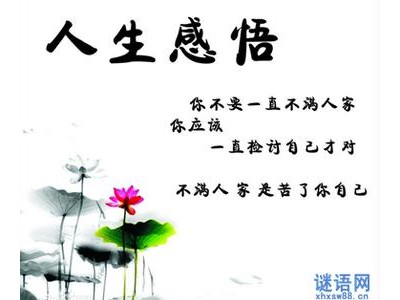 关于缘份的说说