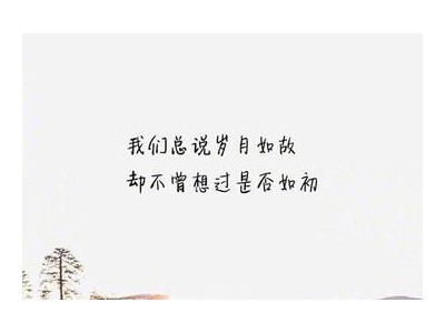 表达爱意的句子八个字