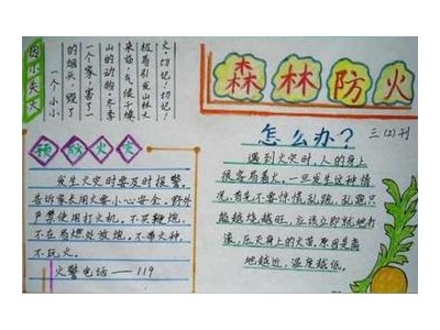 森林防火标语 小学生，学校消防安全标语