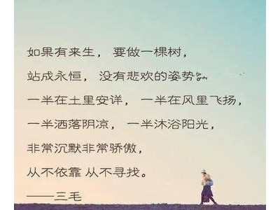 表达自己傻傻的句子