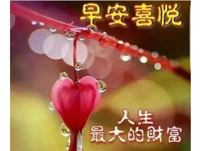 2021最温暖的句子问候朋友圈