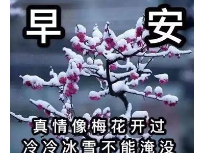 雪天早上的问候短信