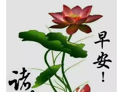 重阳节朋友圈早安说说