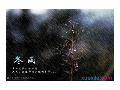 冬雨绵绵伤感的说说