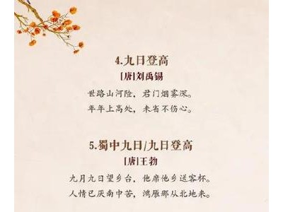 赞颂精神实质的诗词