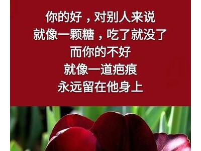 关于人心不知足的句子