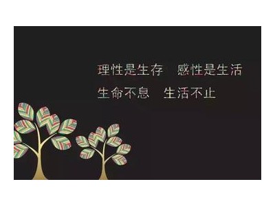 关于理性与感性的说说