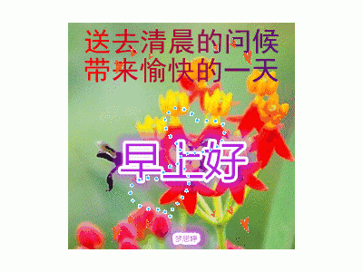 早上好的问候语