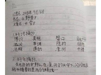 好句摘抄大全15字短一点