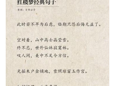 红楼梦经典语录