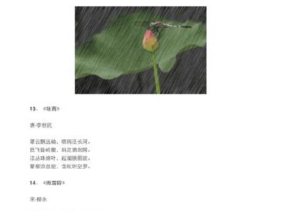 写雨的诗句唯美句子