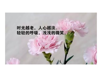 唯美的句子干净治愈