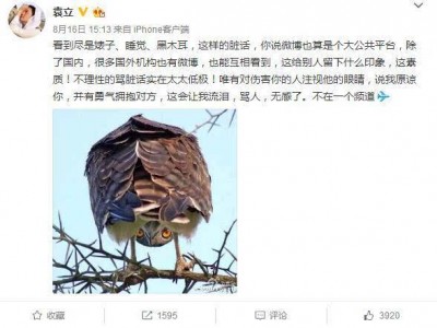 高素质骂人的话