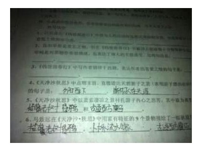 景物描写的句子