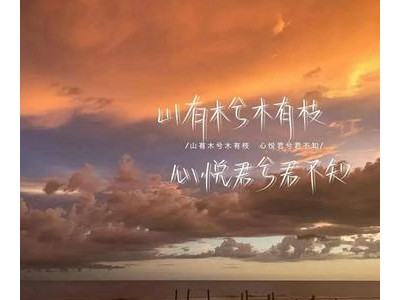 关于生活的句子