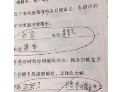 爸妈眼中的我评语