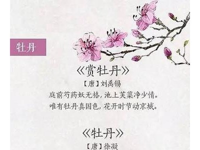 关于春花的诗句古诗唯美