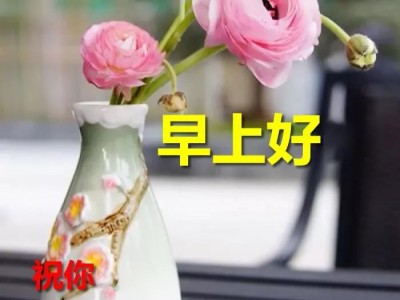 关于花的唯美句子