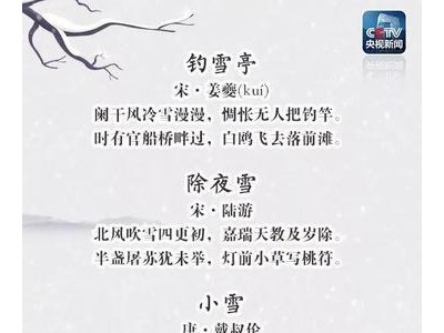 带雪的诗句