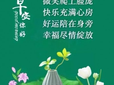 早上好最温馨的问侯创意文案